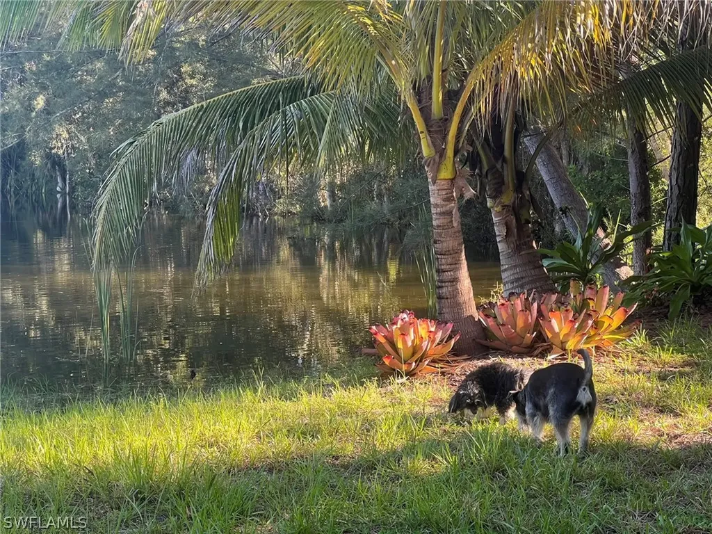 10071 Strike Lane Bonita Springs FL 34135