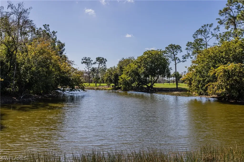 20268 Puma Trail Estero FL 33928