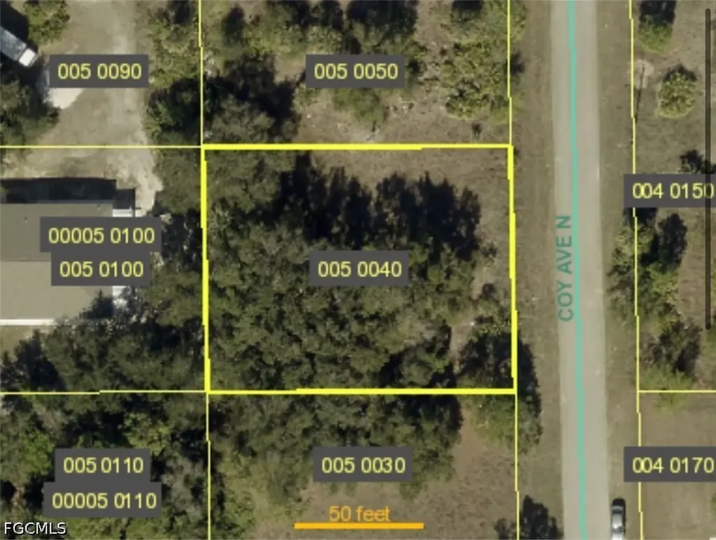 1907 Coy Avenue N Lehigh Acres FL 33971