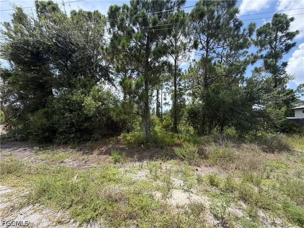190 Wanatah Avenue Lehigh Acres FL 33974
