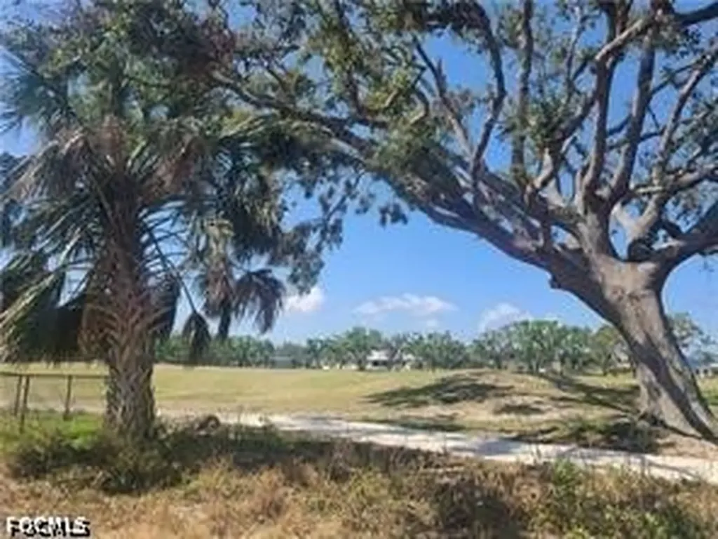 1806 NW 24th Place Cape Coral FL 33993