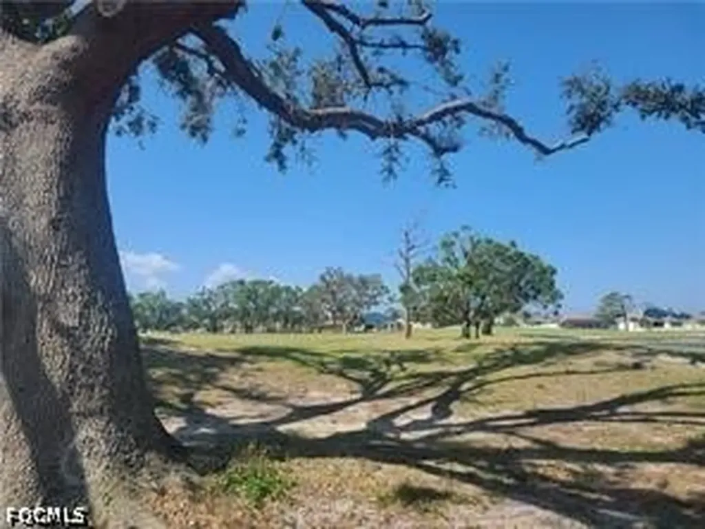 1806 NW 24th Place Cape Coral FL 33993