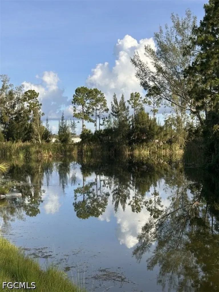 2321 NE 39th Street Cape Coral FL 33909