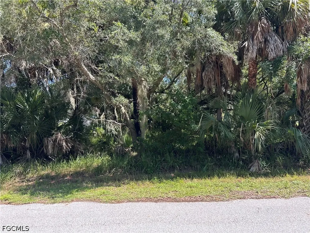 26156 Hapsburg Road Punta Gorda FL 33955