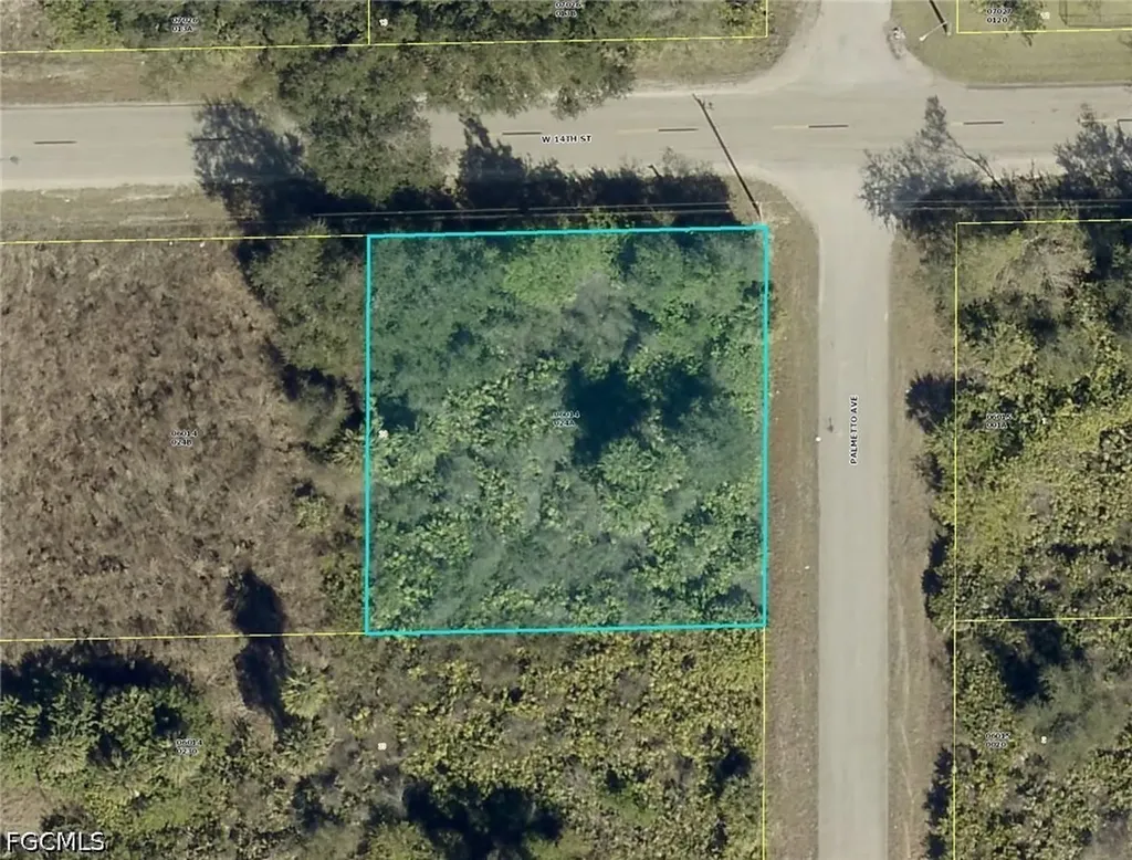 901 W 14th Street Lehigh Acres FL 33972