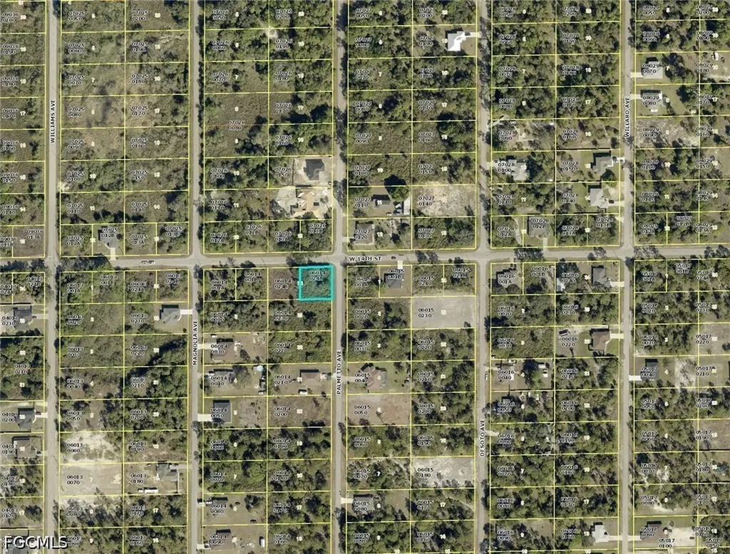 901 W 14th Street Lehigh Acres FL 33972