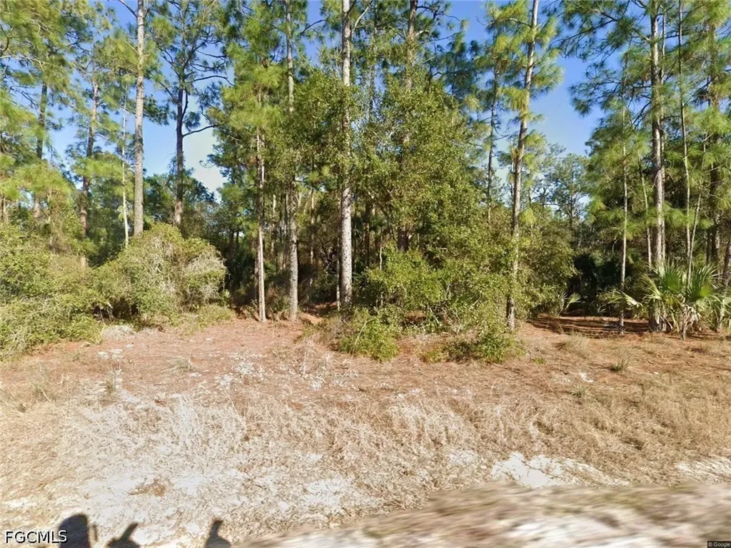 1676 Palmetto Avenue Lehigh Acres FL 33972