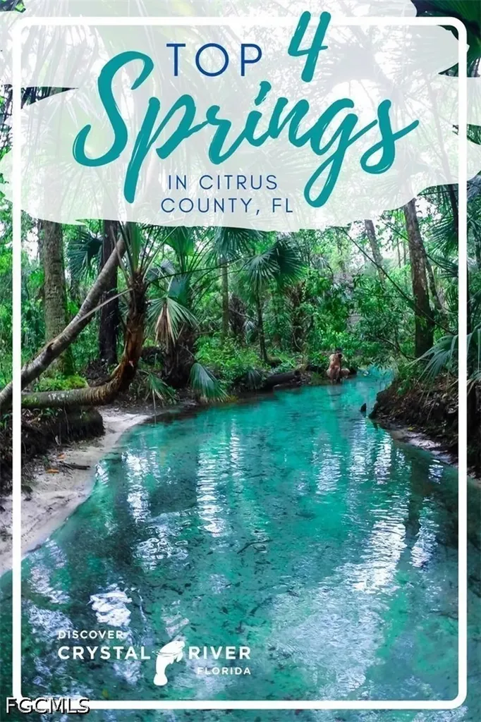 1861 N Yawkey Point Hernando FL 34442