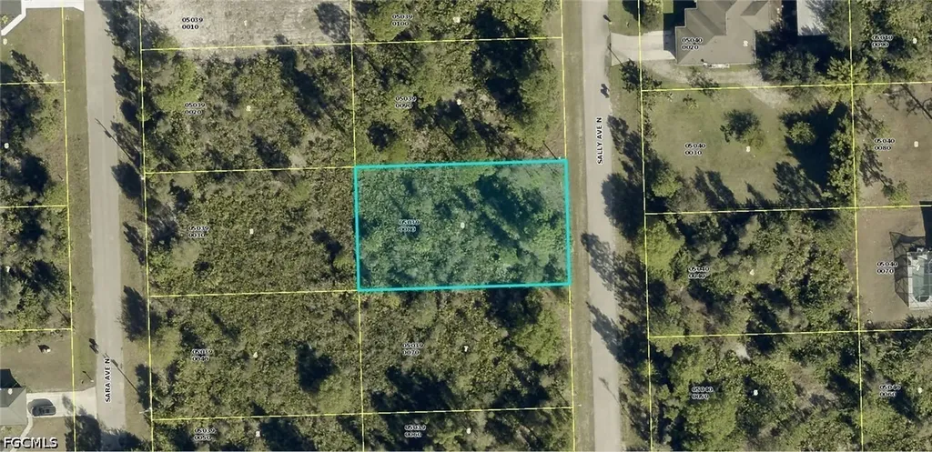 6005 Sally Avenue N Lehigh Acres FL 33971