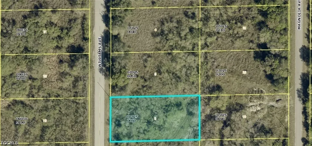 1412 Williams Avenue Lehigh Acres FL 33972