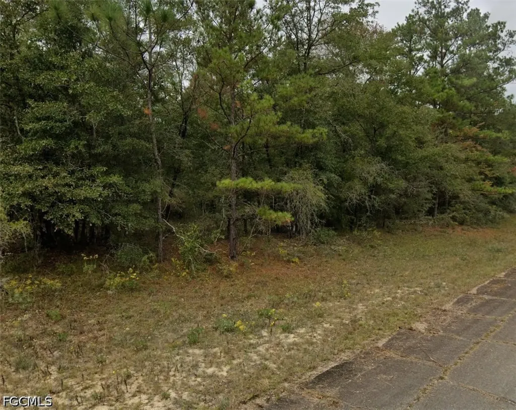 Darlington Drive Chipley FL 32428