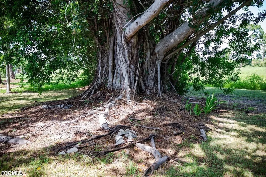 4223 SE 4th Place Cape Coral FL 33904