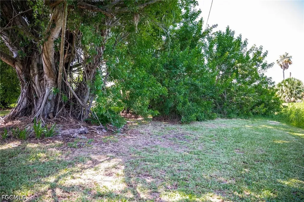 4223 SE 4th Place Cape Coral FL 33904