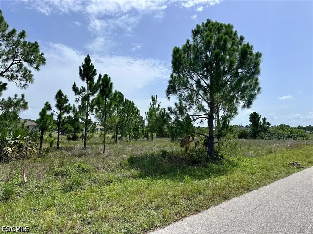 1123 Edgewood Street E Lehigh Acres FL 33974