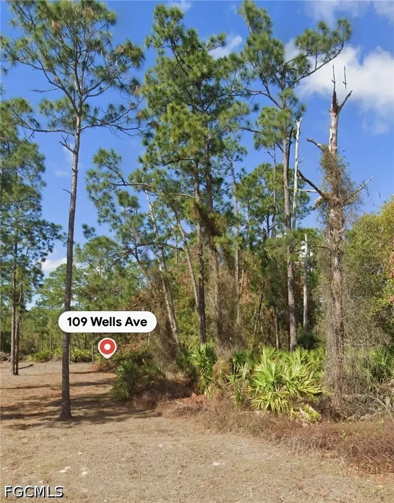 109 Wells Avenue Lehigh Acres FL 33936