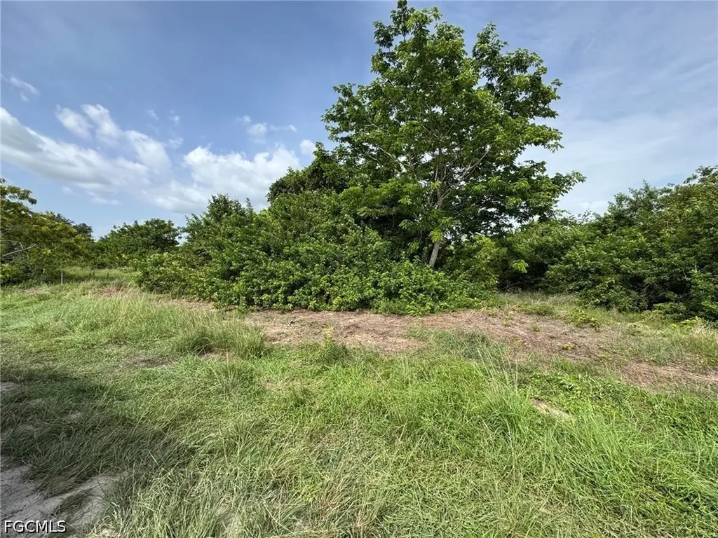 2707 NE 22nd Place Cape Coral FL 33909