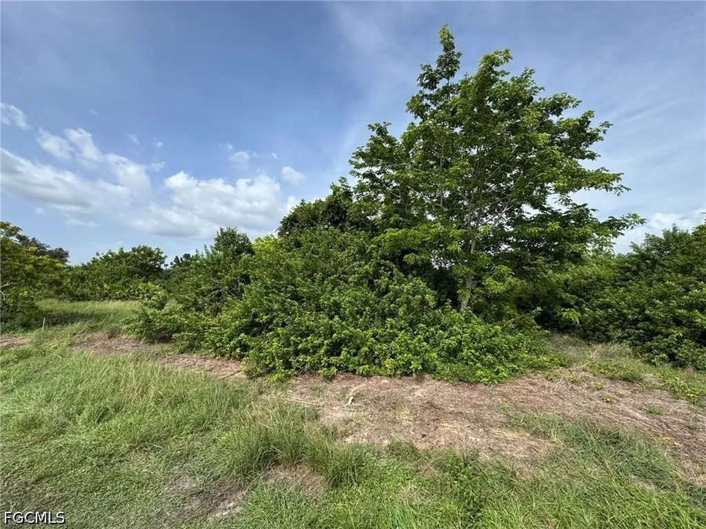 2707 NE 22nd Place Cape Coral FL 33909