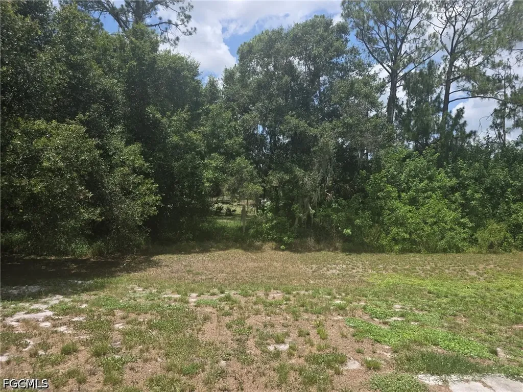 425 Tanner Road Felda FL 33930