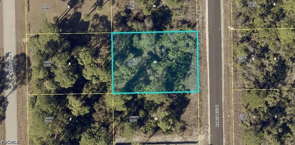 240 Nancy Avenue S Lehigh Acres FL 33974
