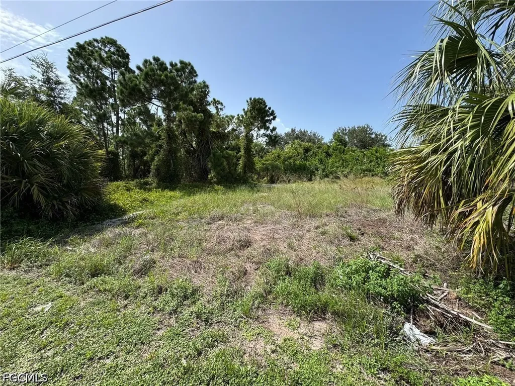26492 Angelica Road Punta Gorda FL 33955