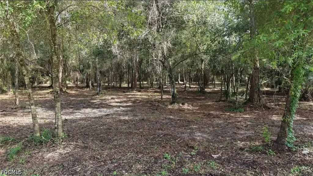 824 Woodland Boulevard Clewiston FL 33440