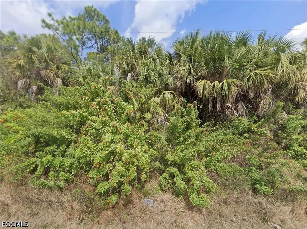 933 Asther Street E Lehigh Acres FL 33974