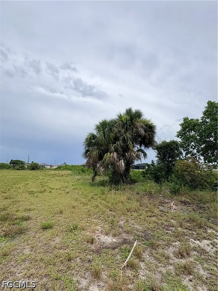 2412 NW 6th Place Cape Coral FL 33993