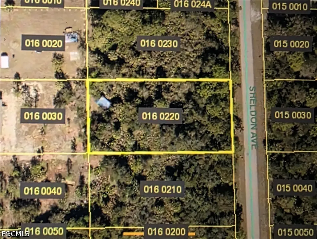 919 Sheldon Avenue Lehigh Acres FL 33936