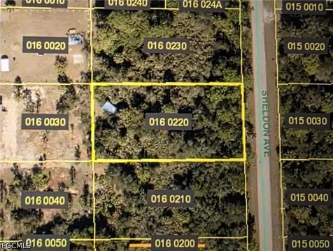 919 Sheldon Avenue Lehigh Acres FL 33936