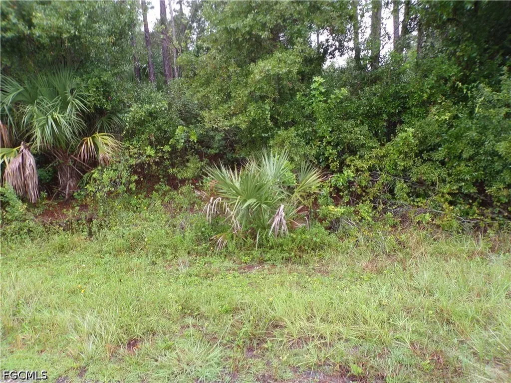 Nocturn Street North Port FL 34288