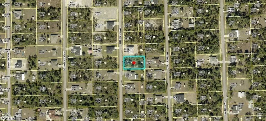 910 Hibiscus Avenue Lehigh Acres FL 33972