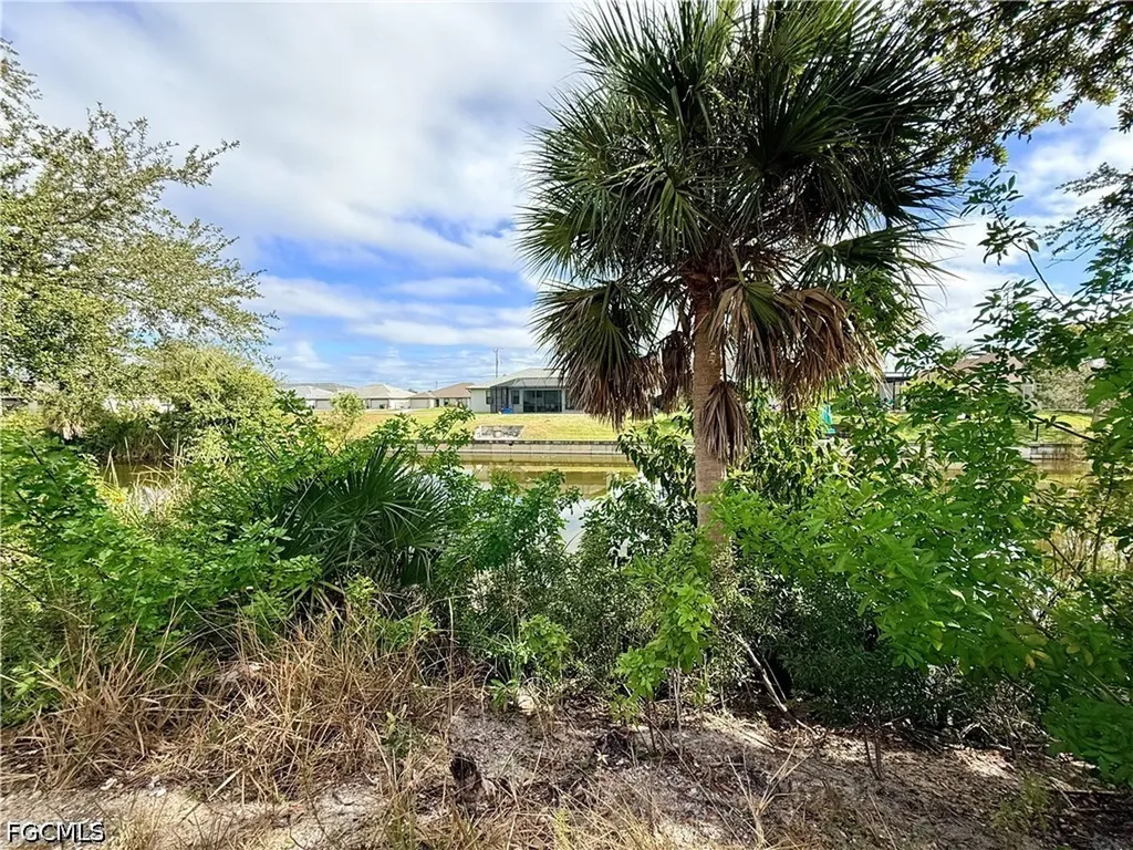 3431 SW 8th Court Cape Coral FL 33914
