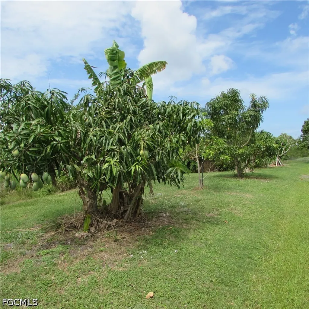 7697 Beach Daisy Lane Bokeelia FL 33922