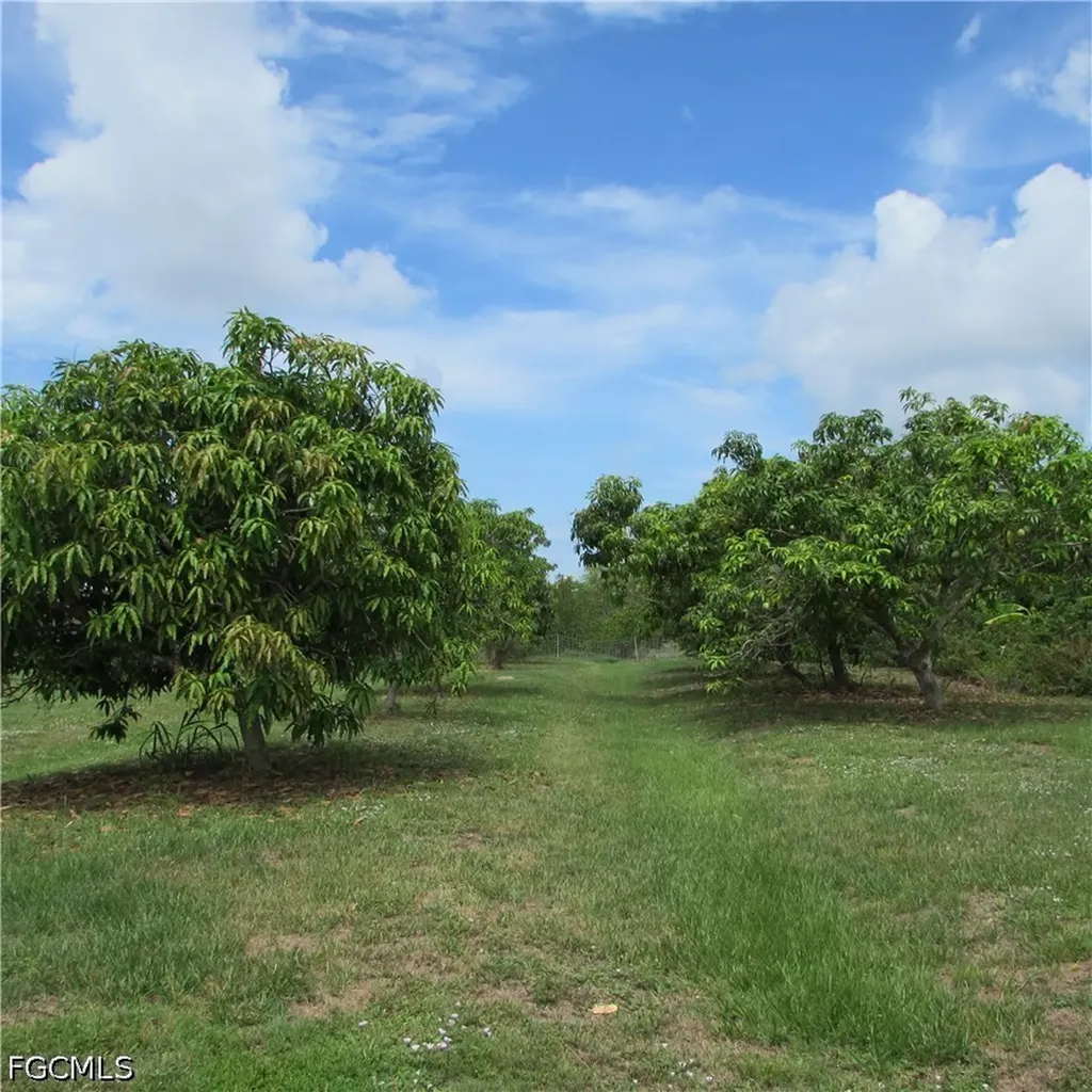 7697 Beach Daisy Lane Bokeelia FL 33922