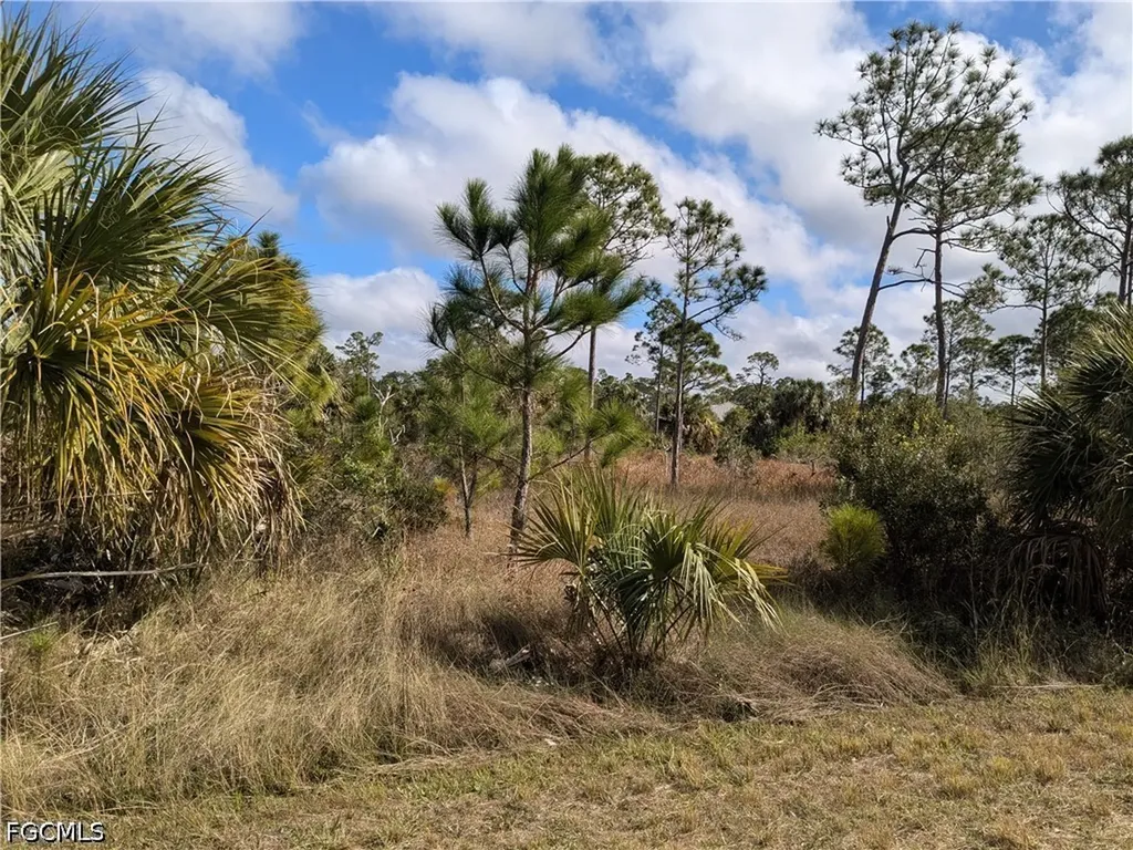 3107 39th Street W Lehigh Acres FL 33971