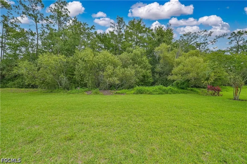 15169 Ligustrum Lane Alva FL 33920