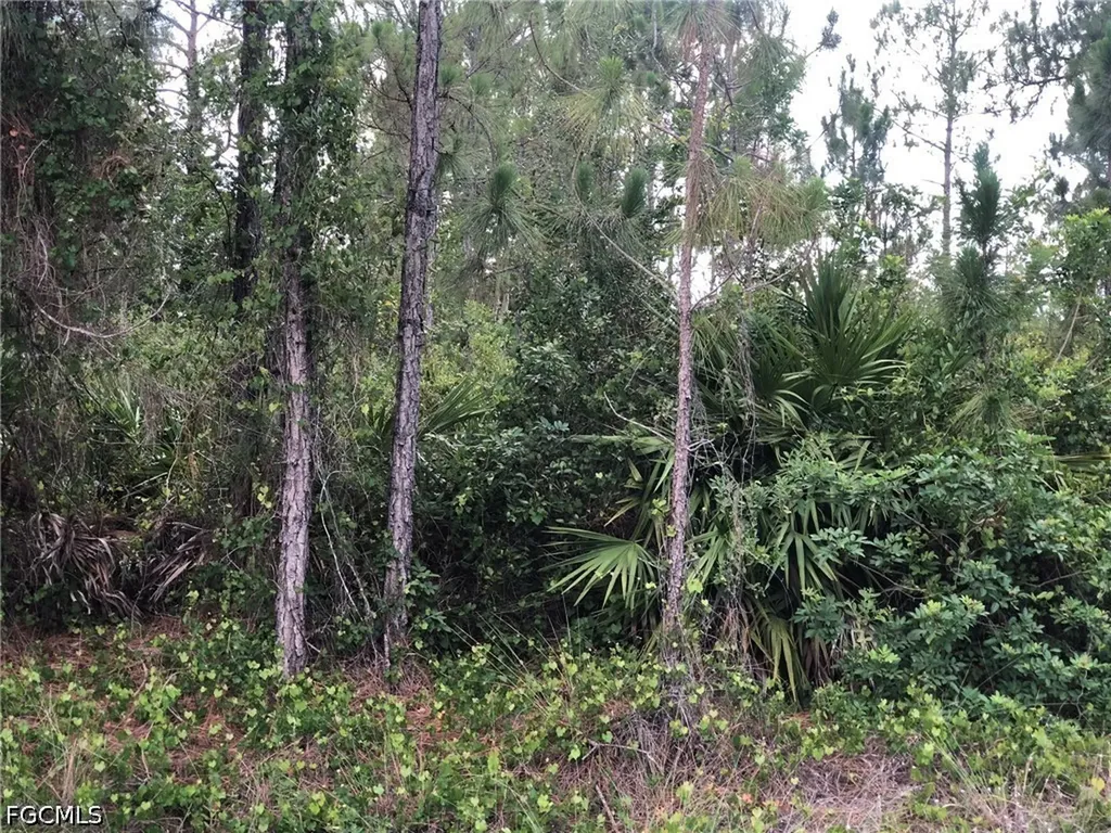 815 State Avenue Lehigh Acres FL 33972