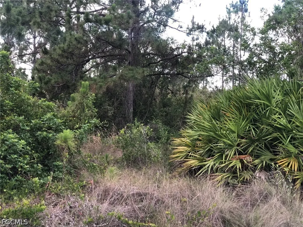 815 State Avenue Lehigh Acres FL 33972