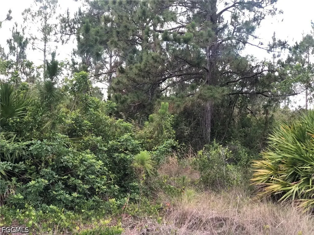 815 State Avenue Lehigh Acres FL 33972