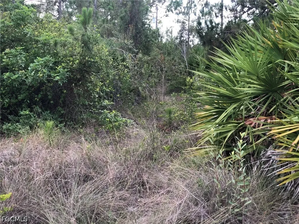 815 State Avenue Lehigh Acres FL 33972