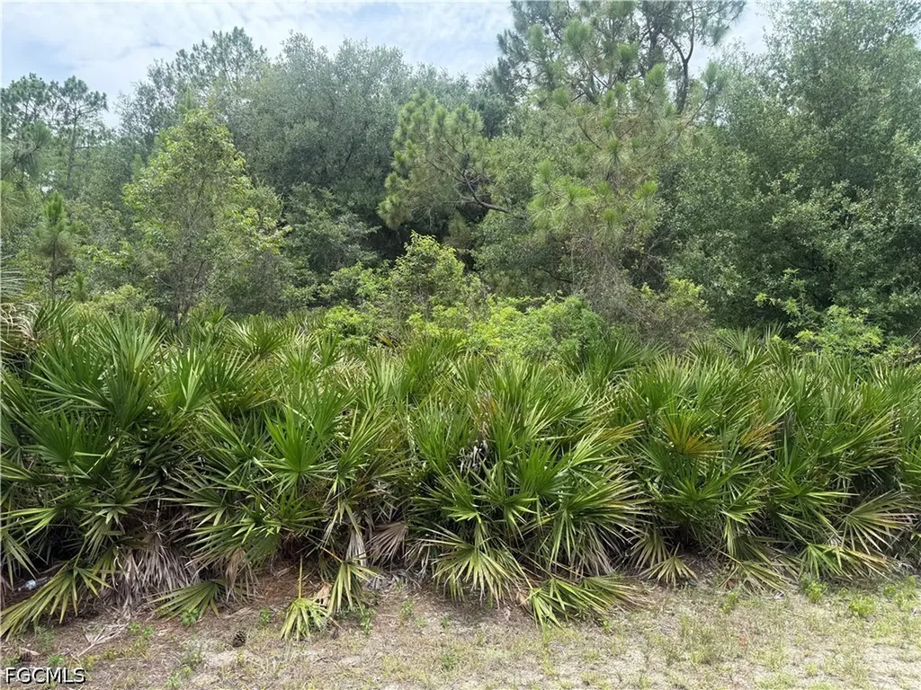 2111 Johns Avenue Alva FL 33920
