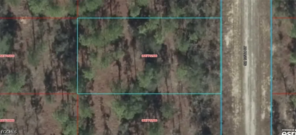 06877-028-00 SE 135th Court Williston FL 32696