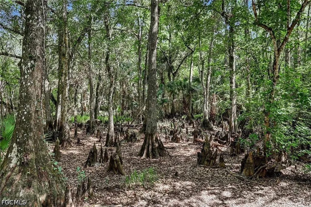2291 Secretariat Drive Labelle FL 33935