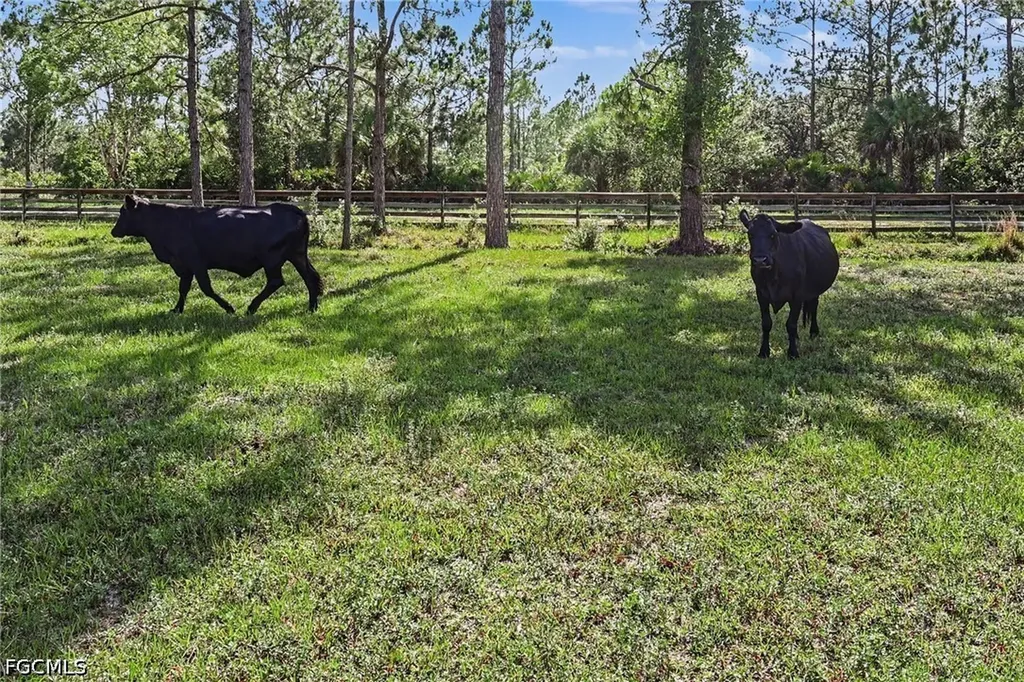 2291 Secretariat Drive Labelle FL 33935