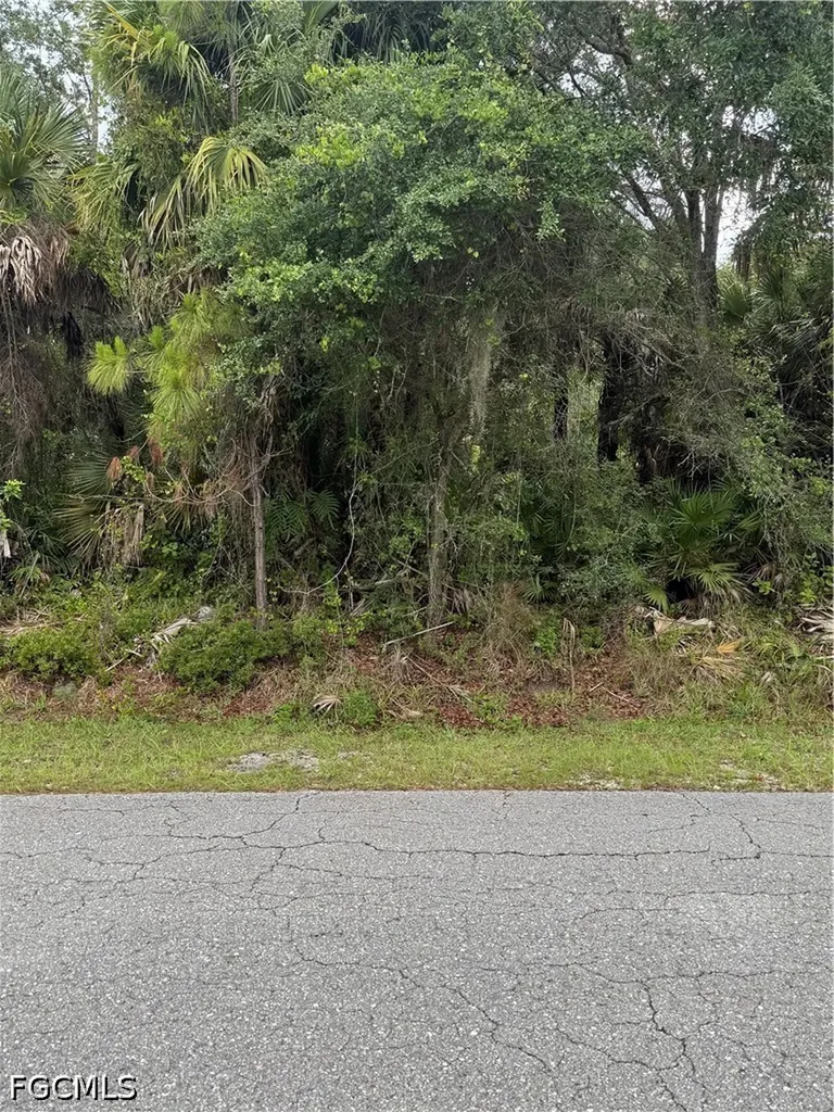 703 Cleveland Avenue Lehigh Acres FL 33972