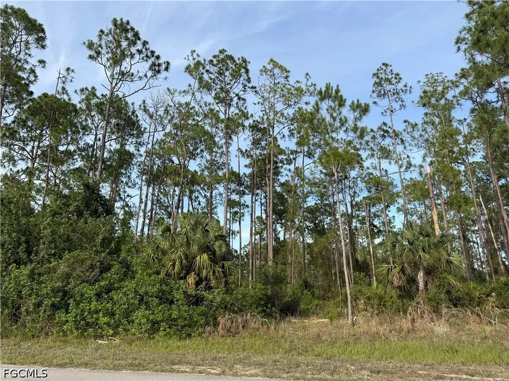 2202 Truman Avenue Alva FL 33920