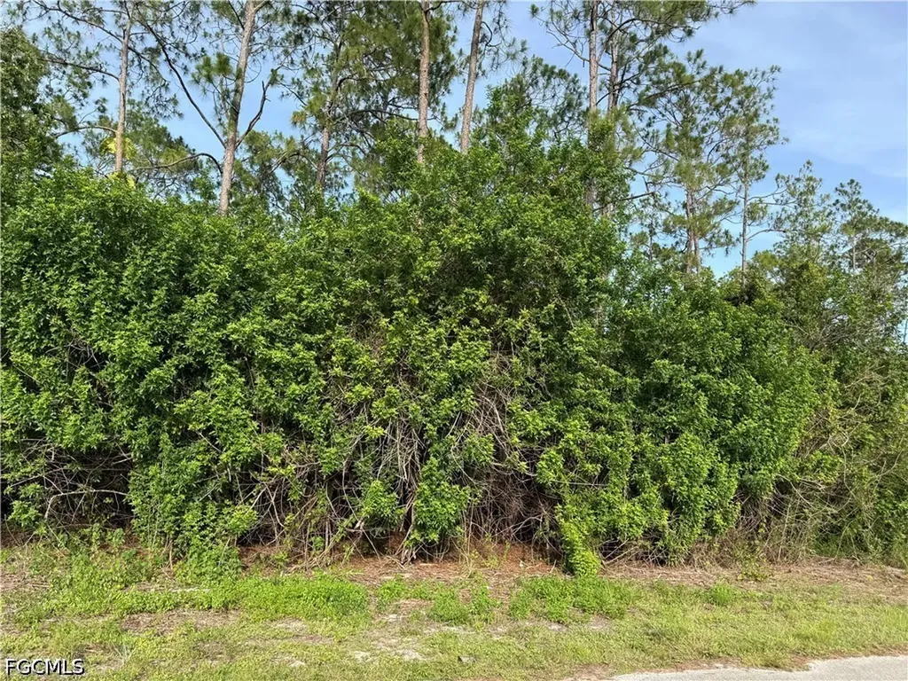 2202 Truman Avenue Alva FL 33920