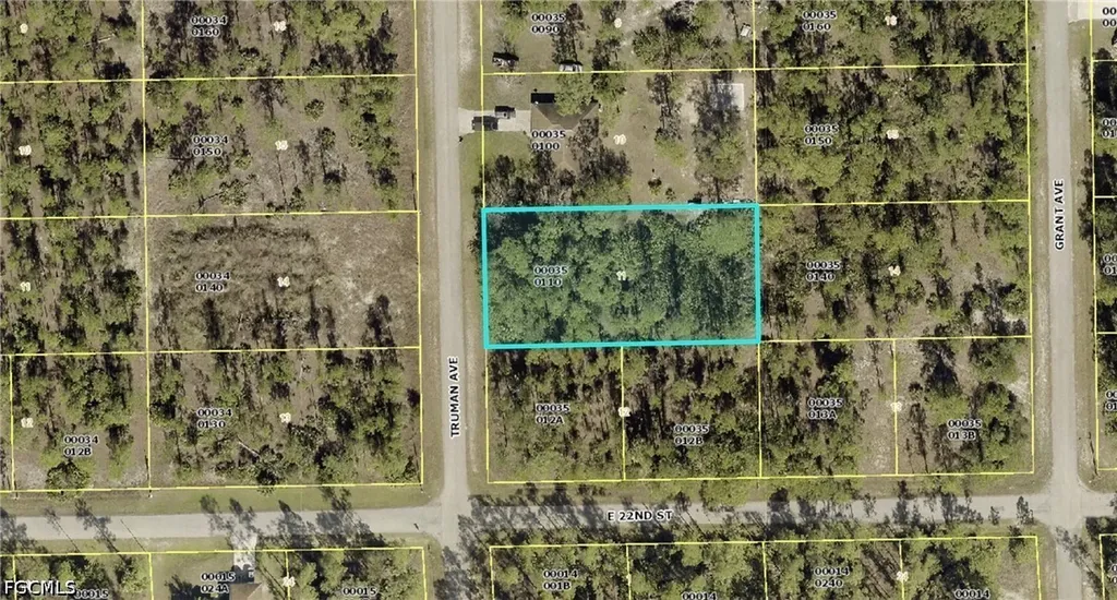 2202 Truman Avenue Alva FL 33920