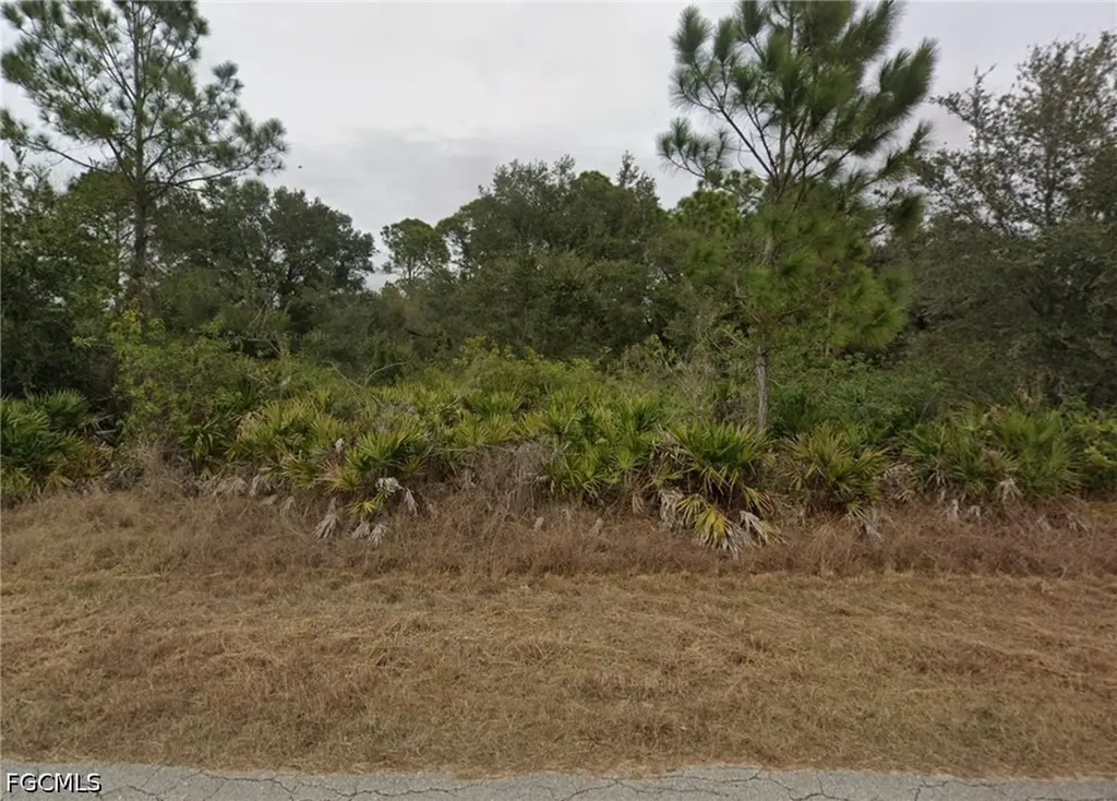 3905 E 21st Street Alva FL 33920