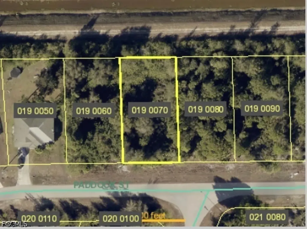 319 Paddock Street Lehigh Acres FL 33974